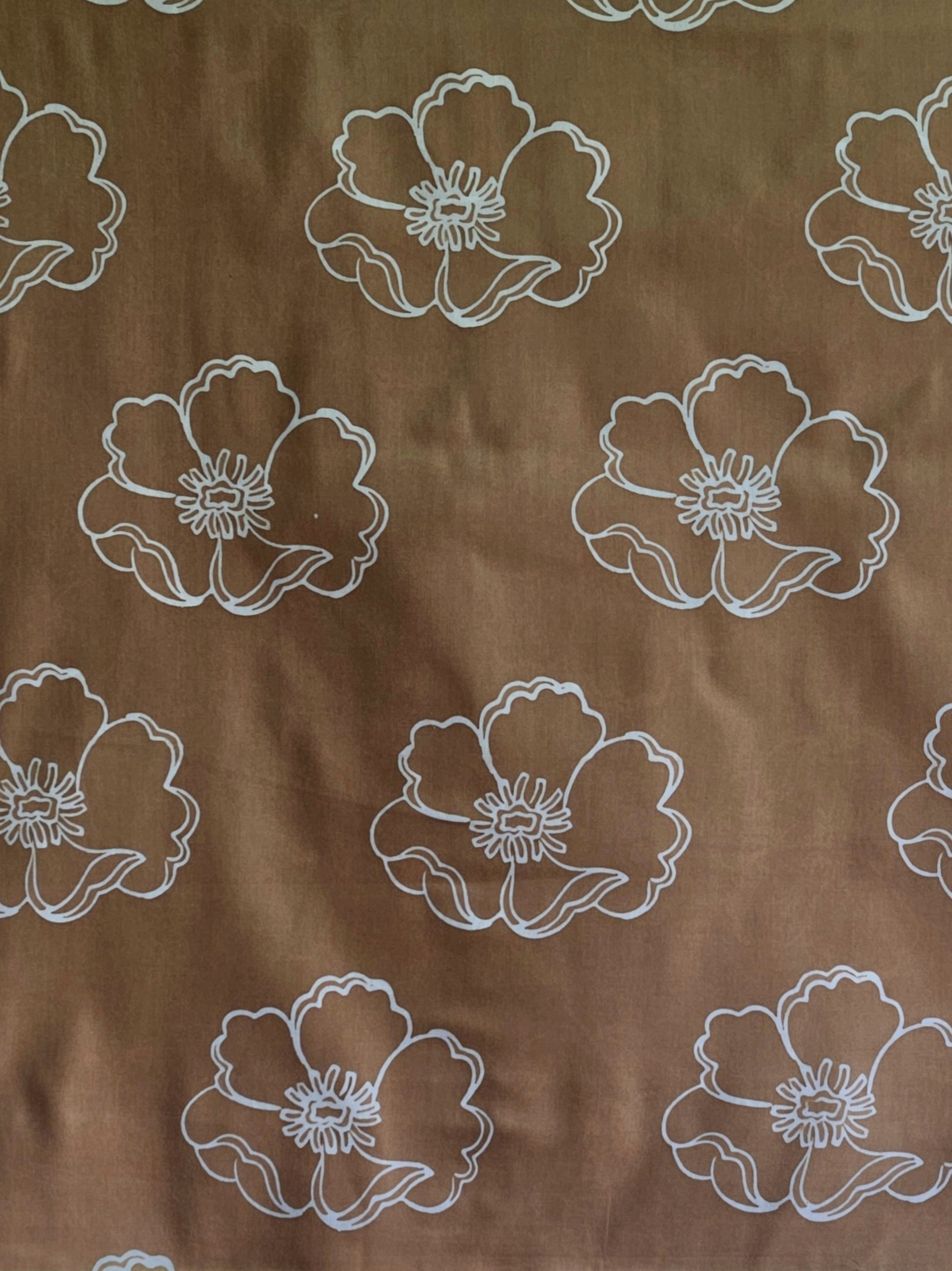 20260207_120133(1)(1)(1)