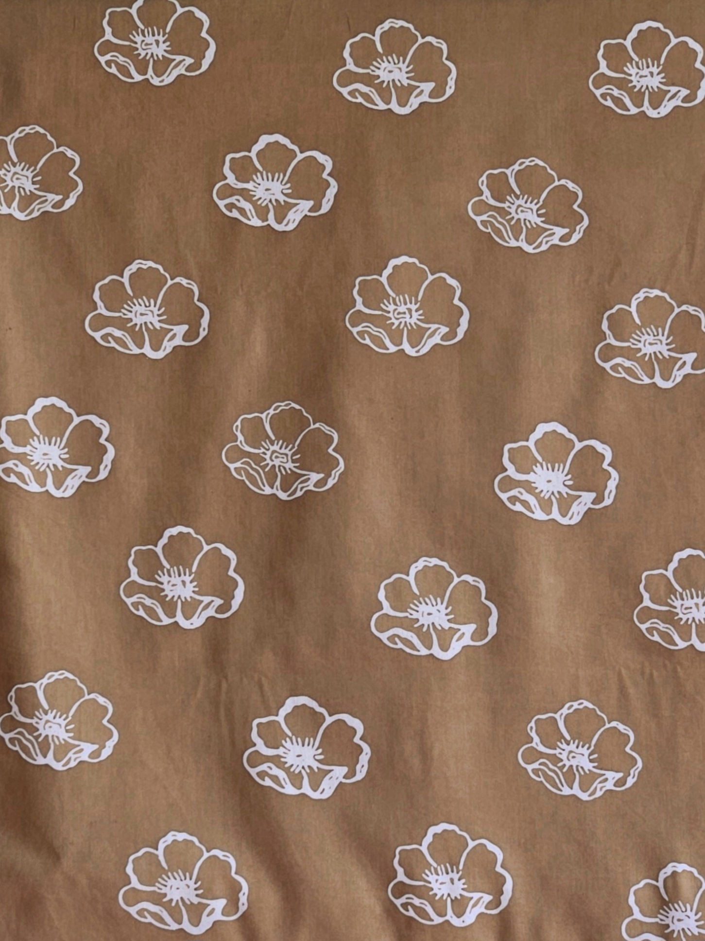 20260120_120247(3)(3)(1)(1)