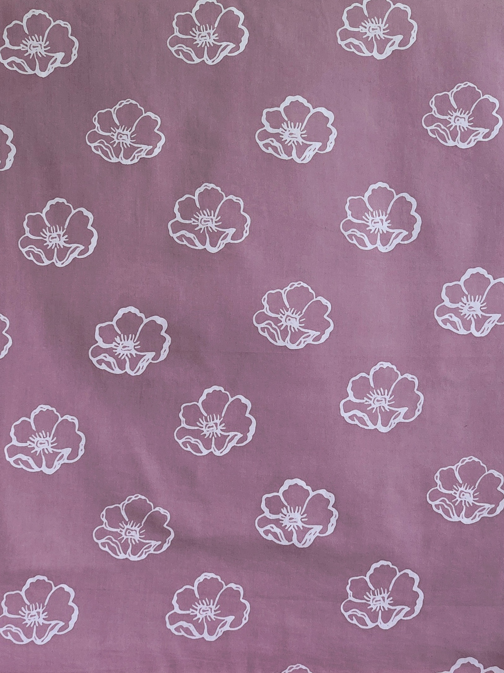 20260210_113702(2)(1)(1)