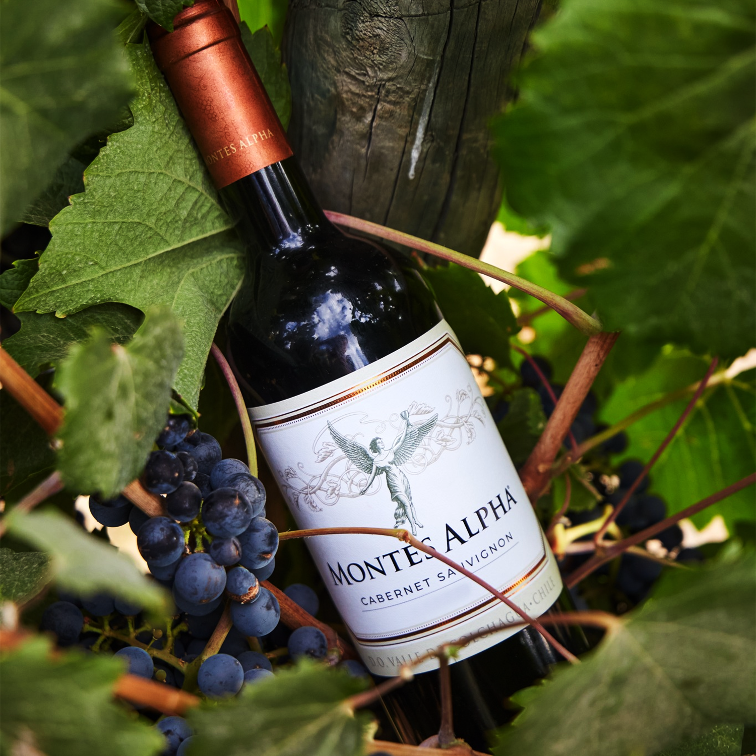 Montes Alpha Cabernet Sauvignon 2