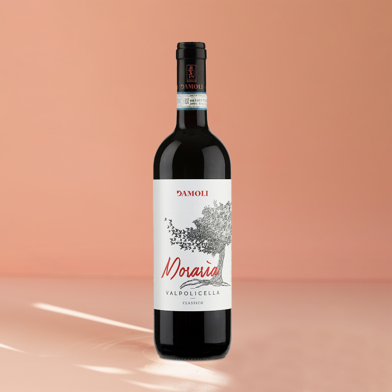 DAMOLI MORARIA VALPOLICELLA CLASSICO