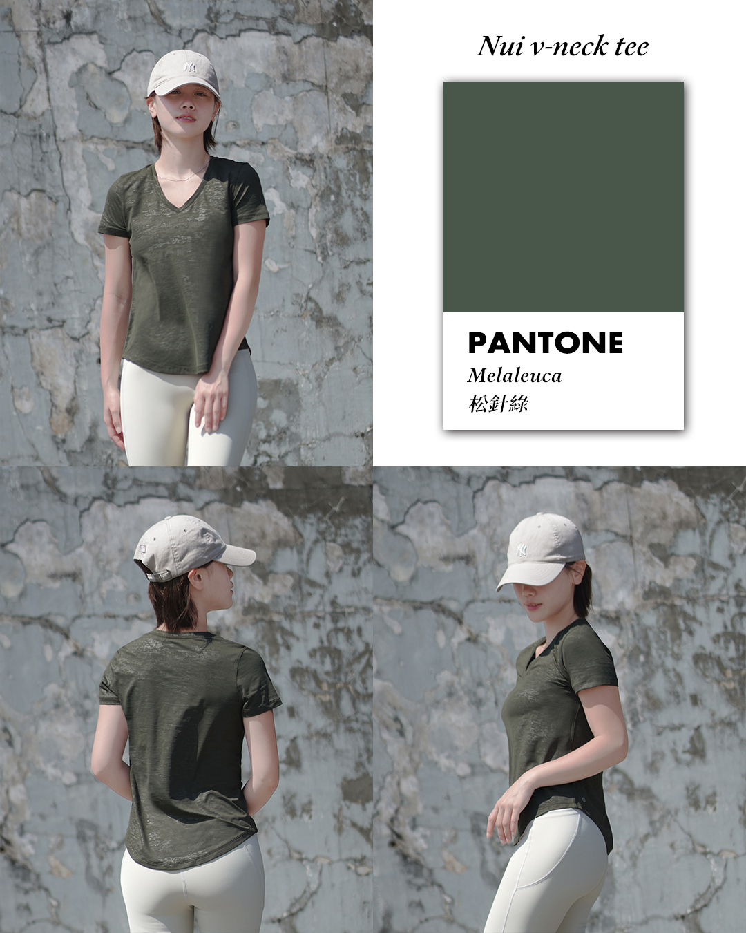 Pantone 深綠V.jpg
