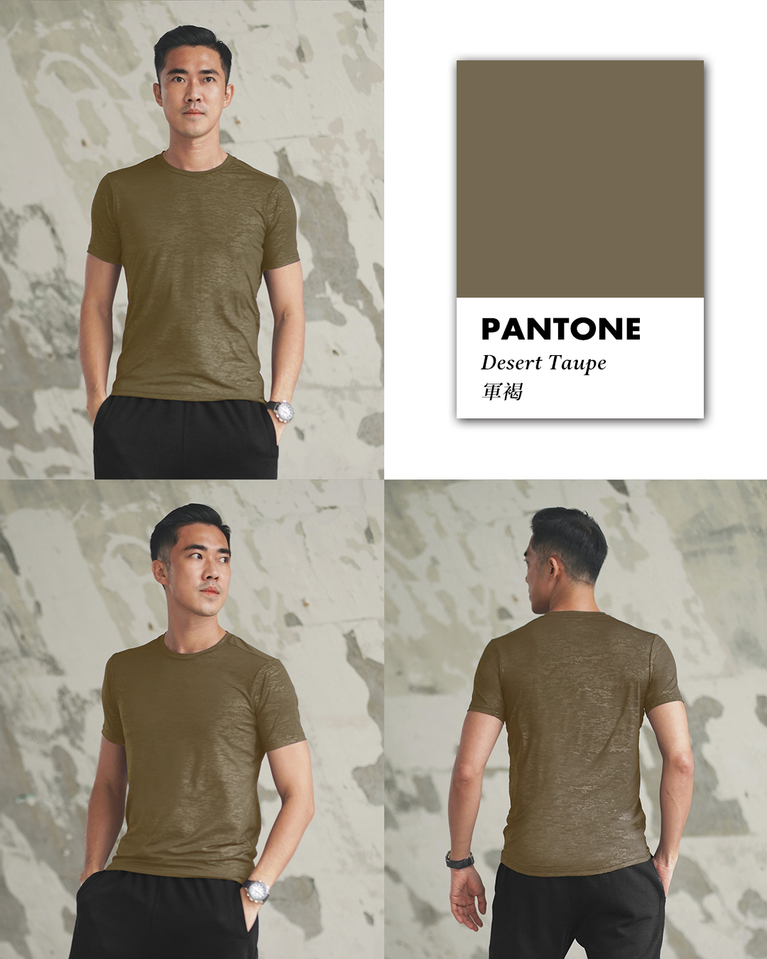 Pantone褐