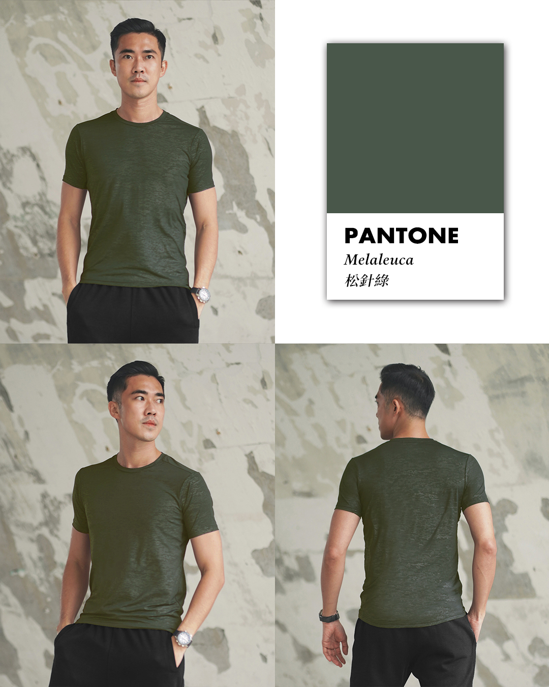 Pantone綠