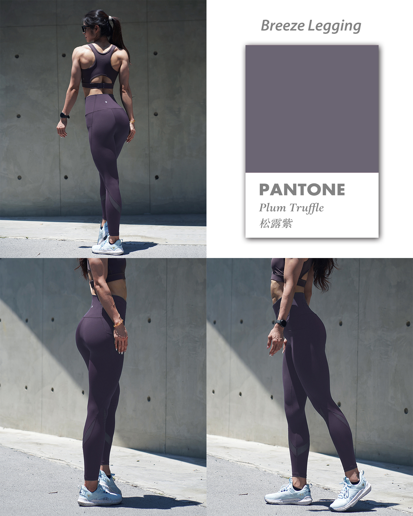 Pantone 松露紫 B1