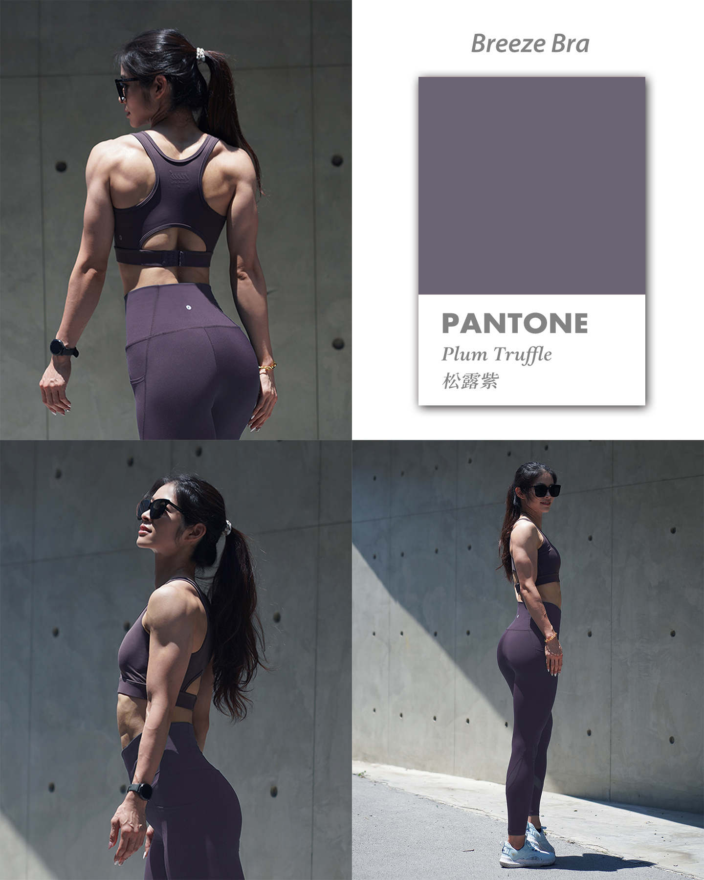 Pantone 松露紫 BB
