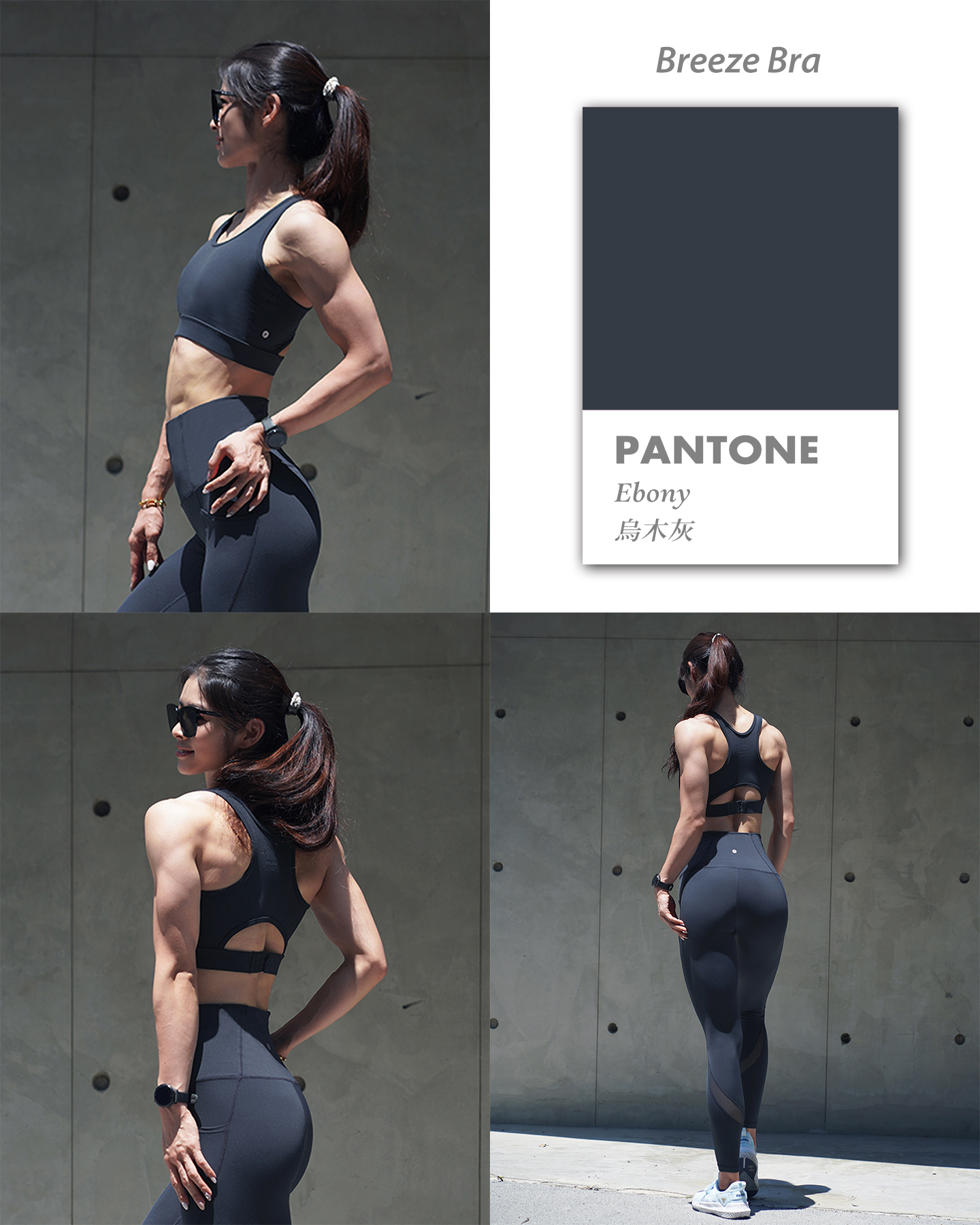 Pantone 烏木灰 BB