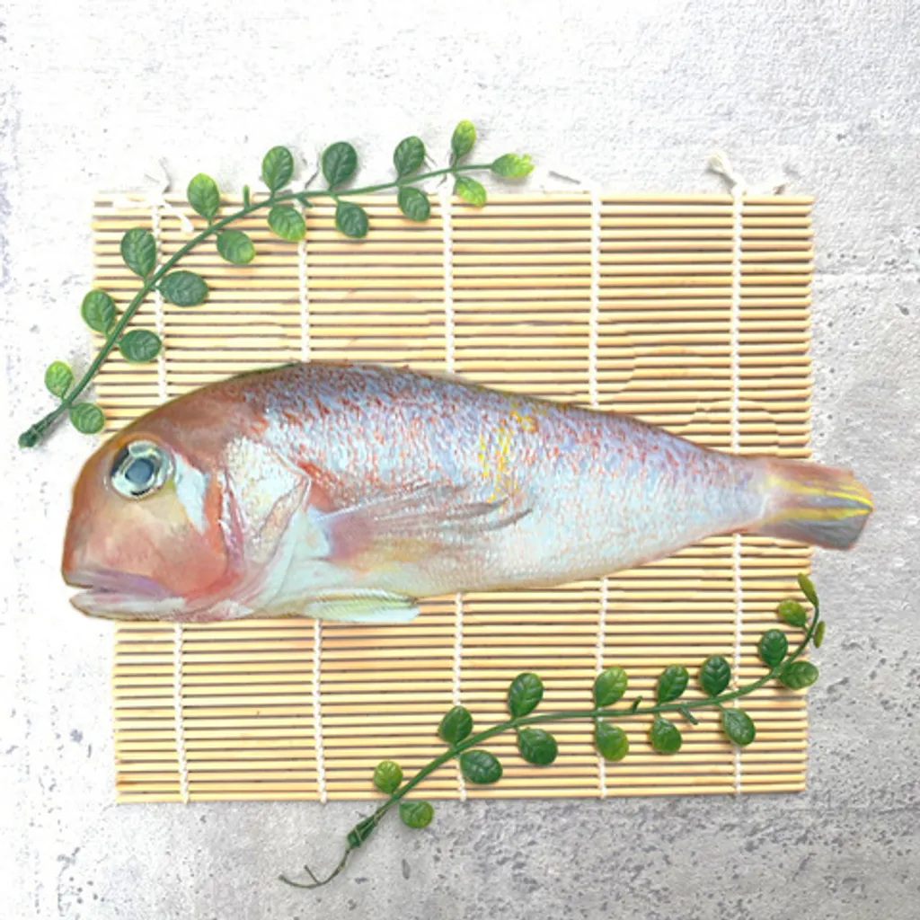 馬頭魚