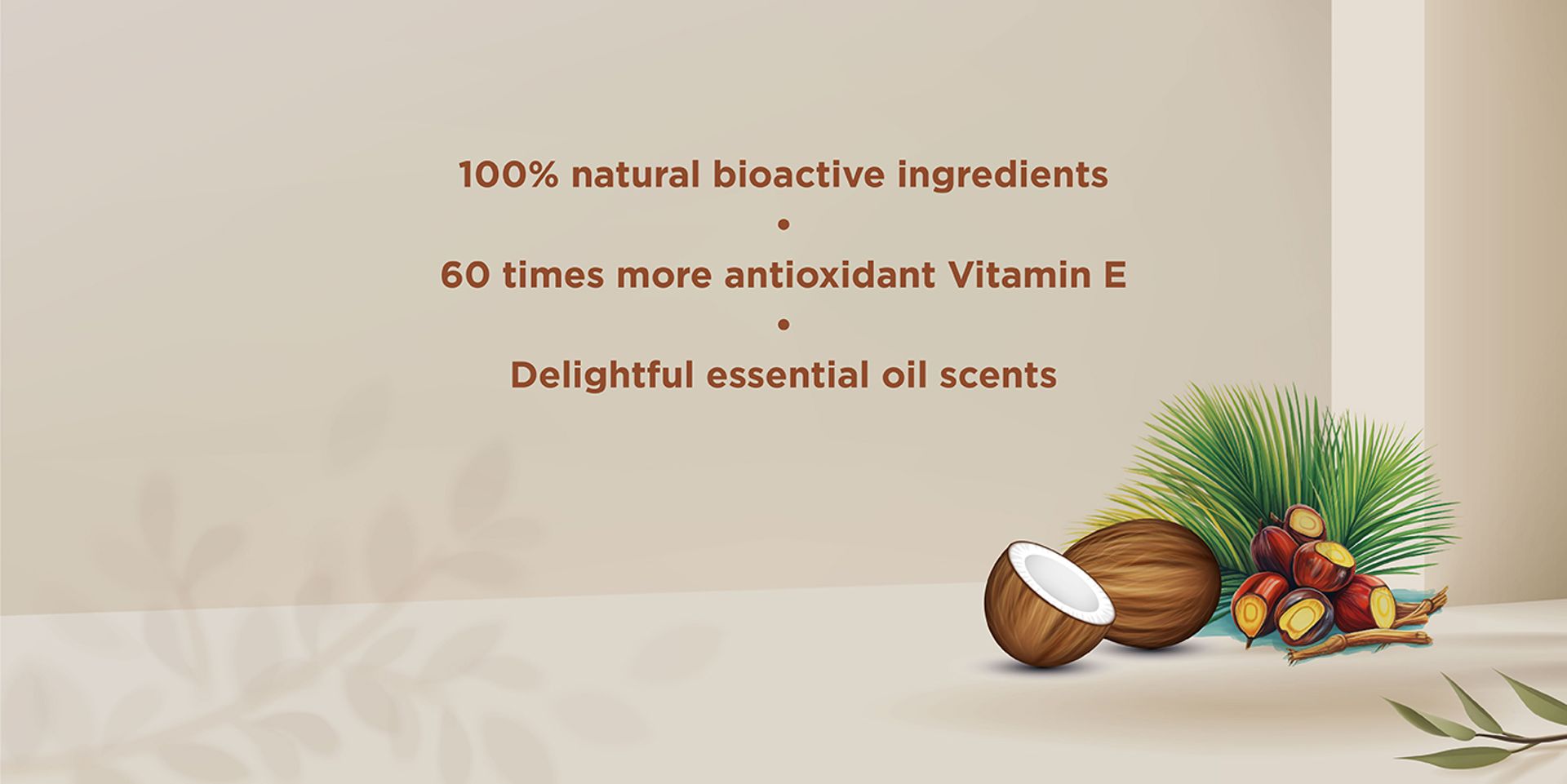 BIOCOCO Store | 