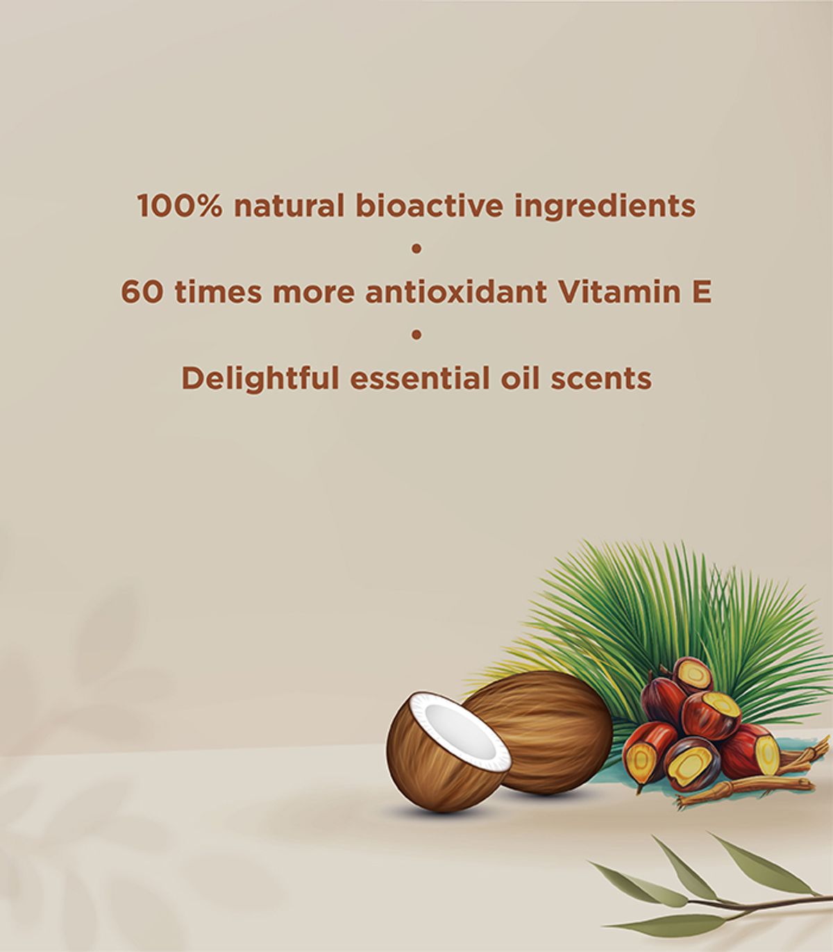 BIOCOCO Store | 