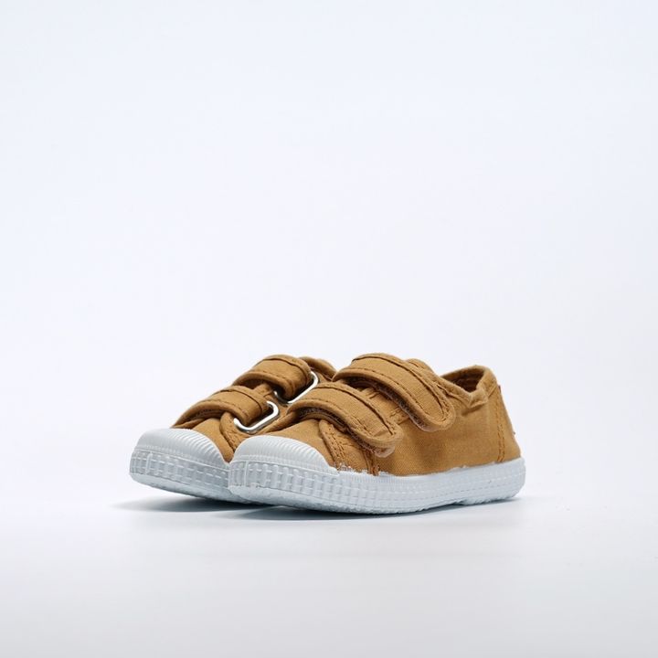 7899753-2.jpeg