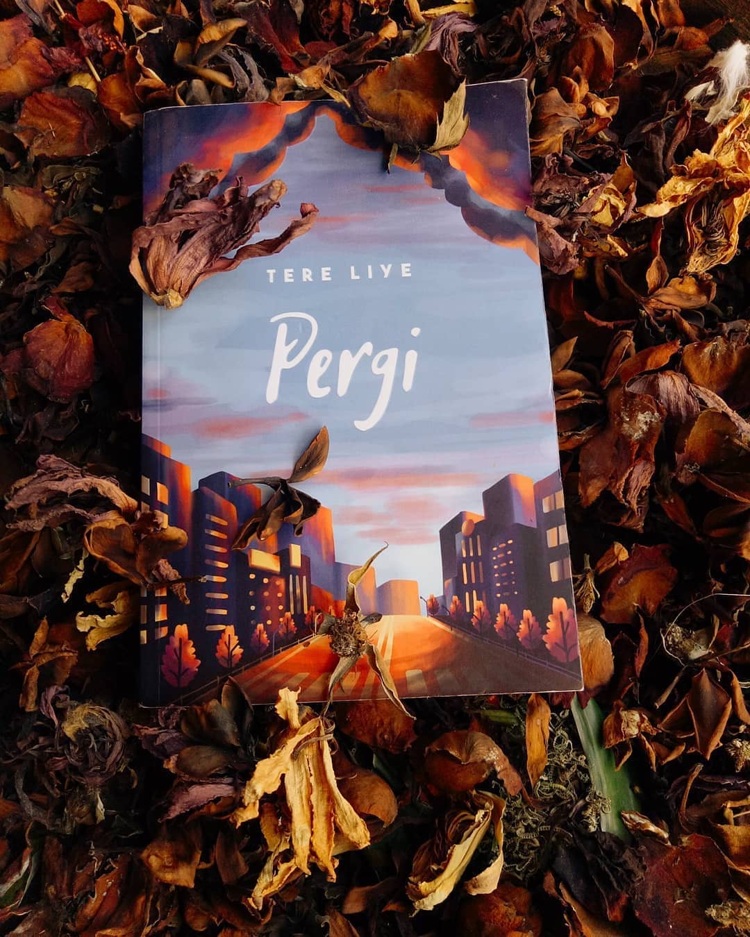Pergi - Tere Liye