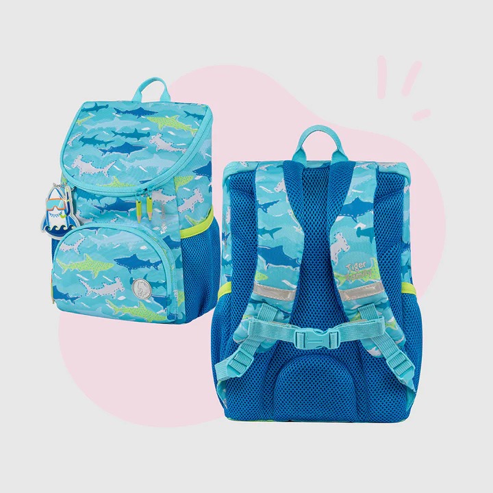 WhatsApp Image 2026-03-13 at 12.55.57 PM (1)