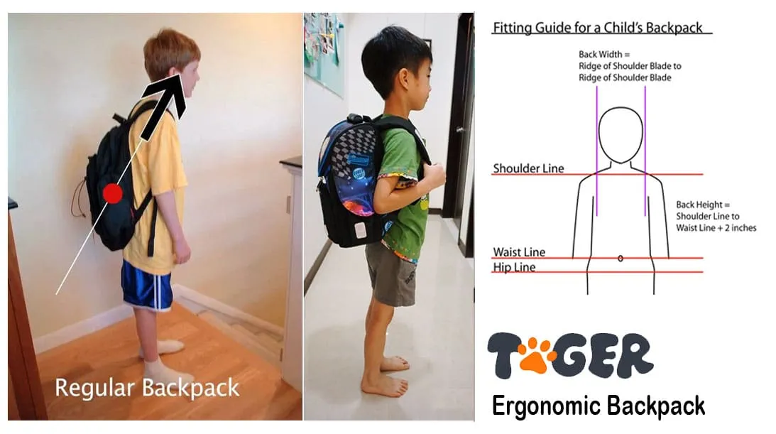 ergonomic bag