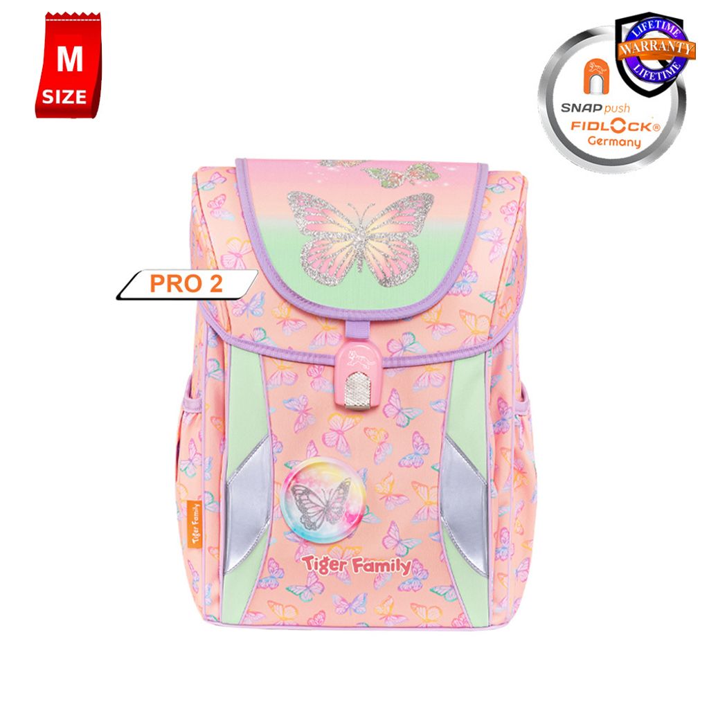 Butterfly and rainbow