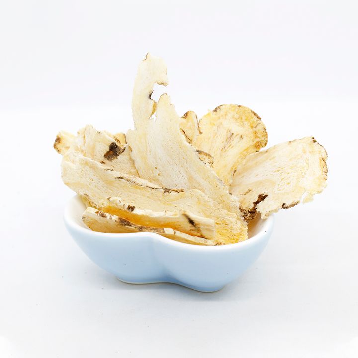 Angelica Head1.jpg