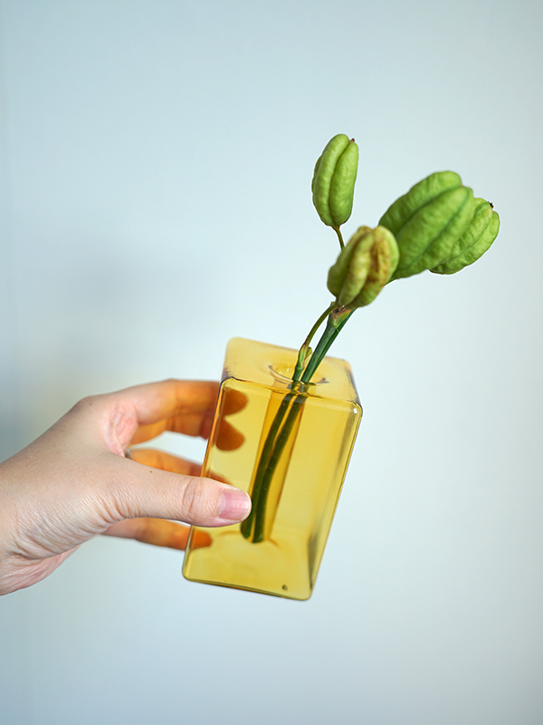 11201645_655b0ea15f5fe