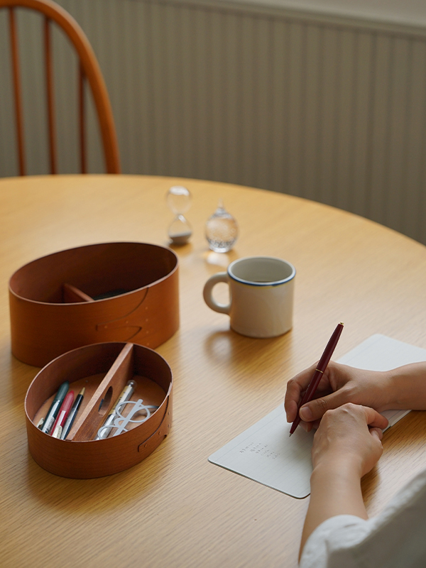 08020933_66ac29694dcc5 (2)