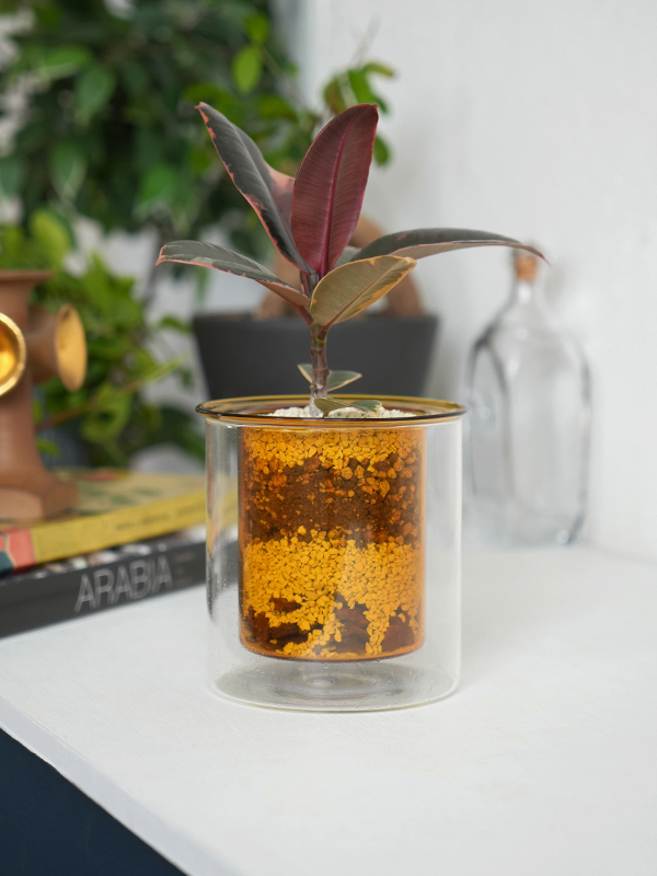 05211156_682d40e1b5c8c