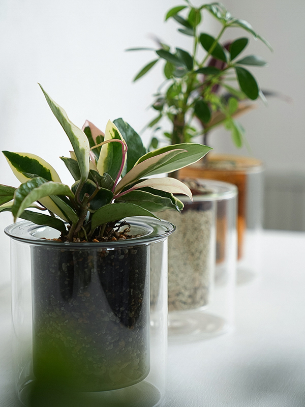 05211153_682d40326001a