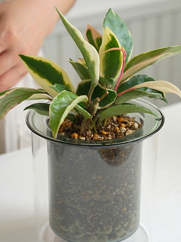 05211153_682d402786903