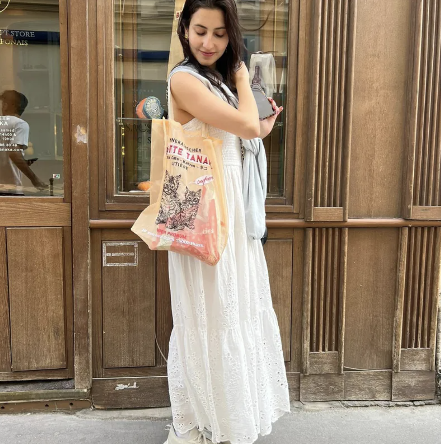 chat-saumon-miniature3