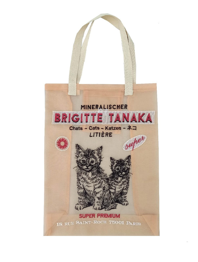 chat-saumon-miniature1