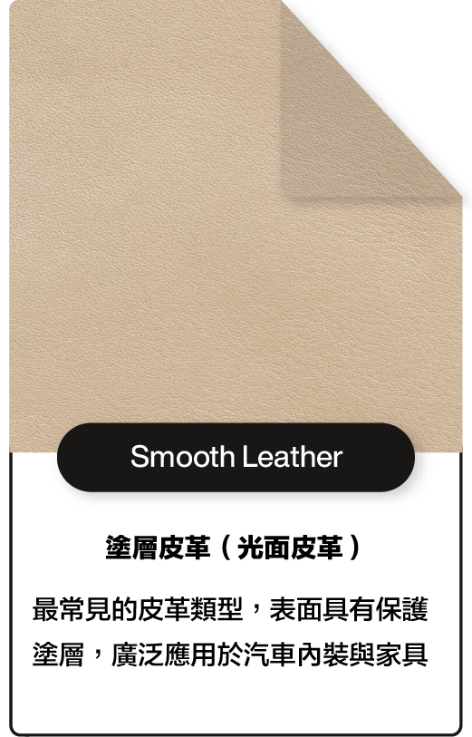 Smooth Leather