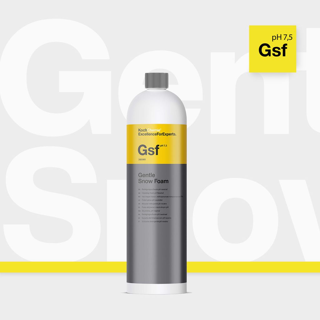 Gsf1
