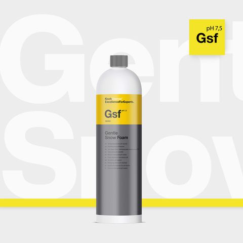 Gsf1