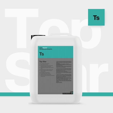 TS 10L
