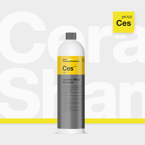ces1