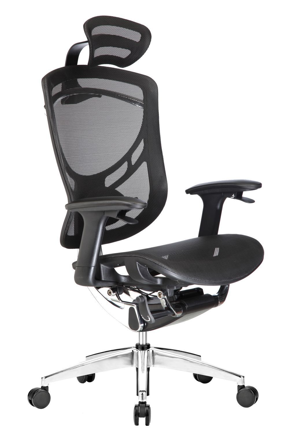 IMG_1430£®1£© low