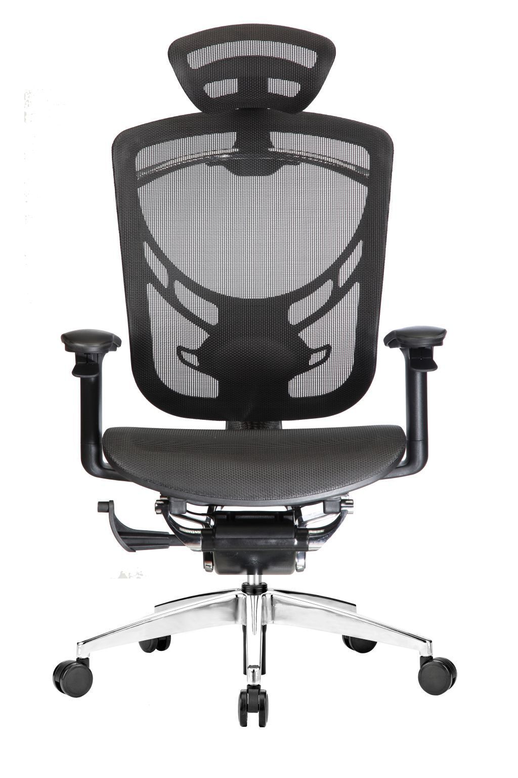 IMG_1429£®1£© low