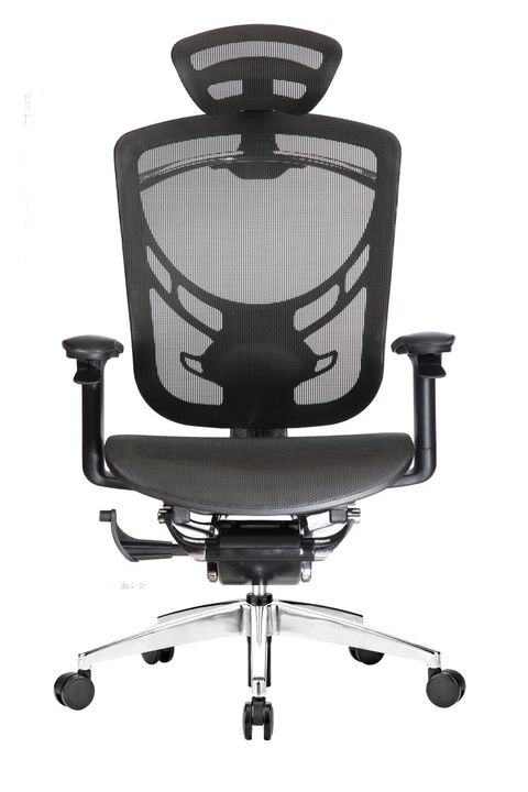 IMG_1429£®1£© low