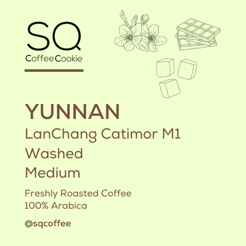 White Colorful Abstract Modern Minimalist Illustration Coffee Bean Label (8)