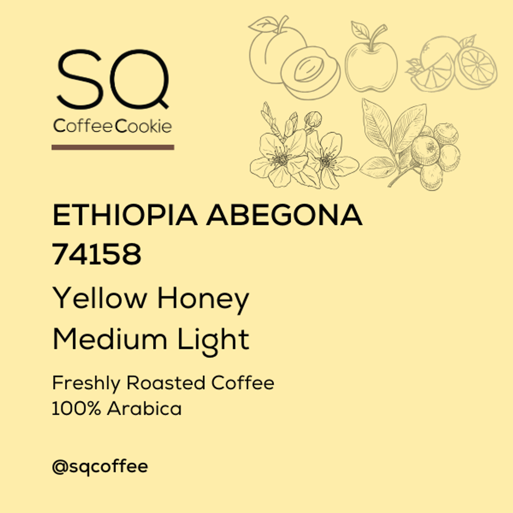 White Colorful Abstract Modern Minimalist Illustration Coffee Bean Label (11)