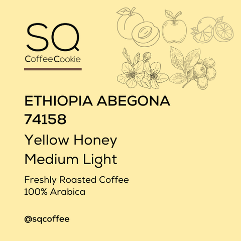 White Colorful Abstract Modern Minimalist Illustration Coffee Bean Label (11)
