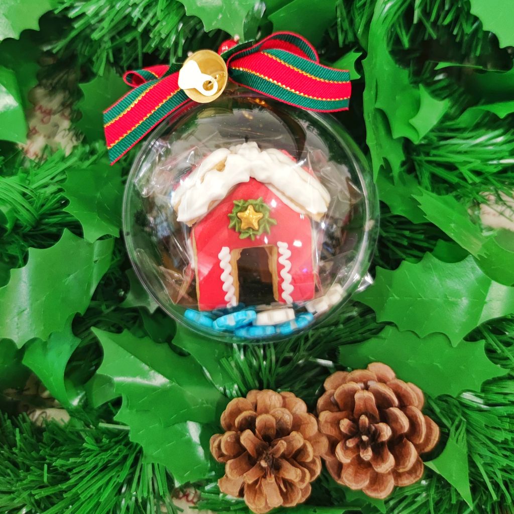 IMG_20221120_174917-01