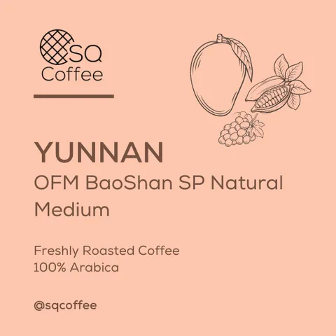 White Colorful Abstract Modern Minimalist Illustration Coffee Bean Label (1)