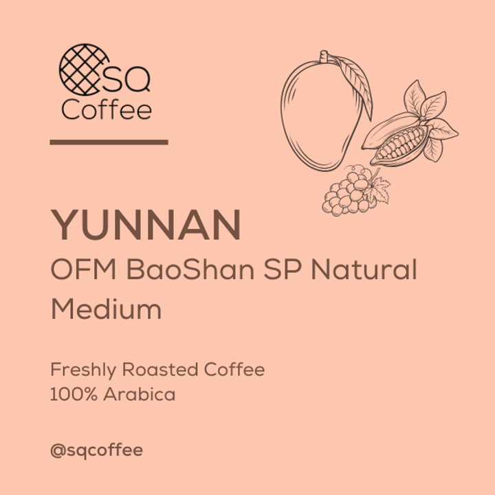 White Colorful Abstract Modern Minimalist Illustration Coffee Bean Label (1)