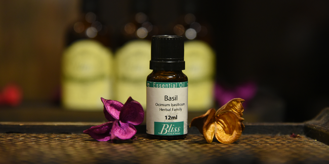 Bliss Essential Oils |  - SALE