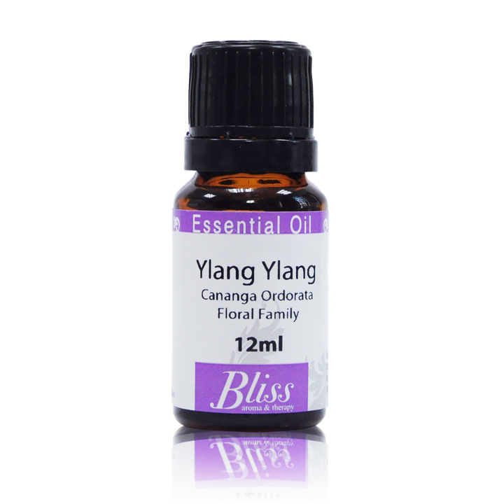 YlangYlang-01.png