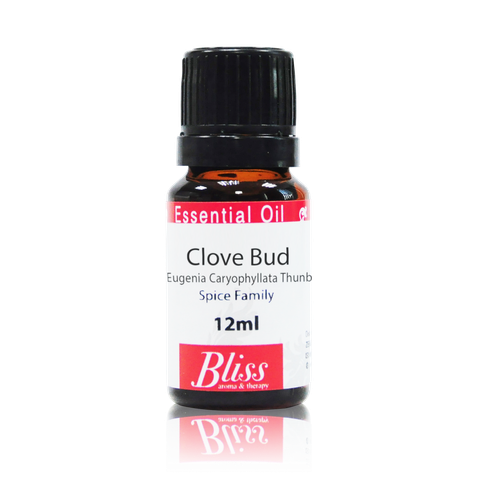 Clove Bud-01.png