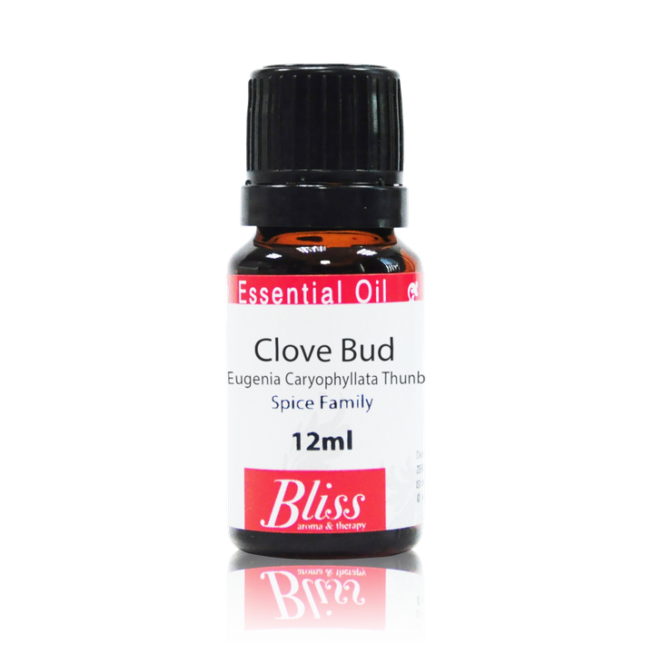Clove Bud-01.png