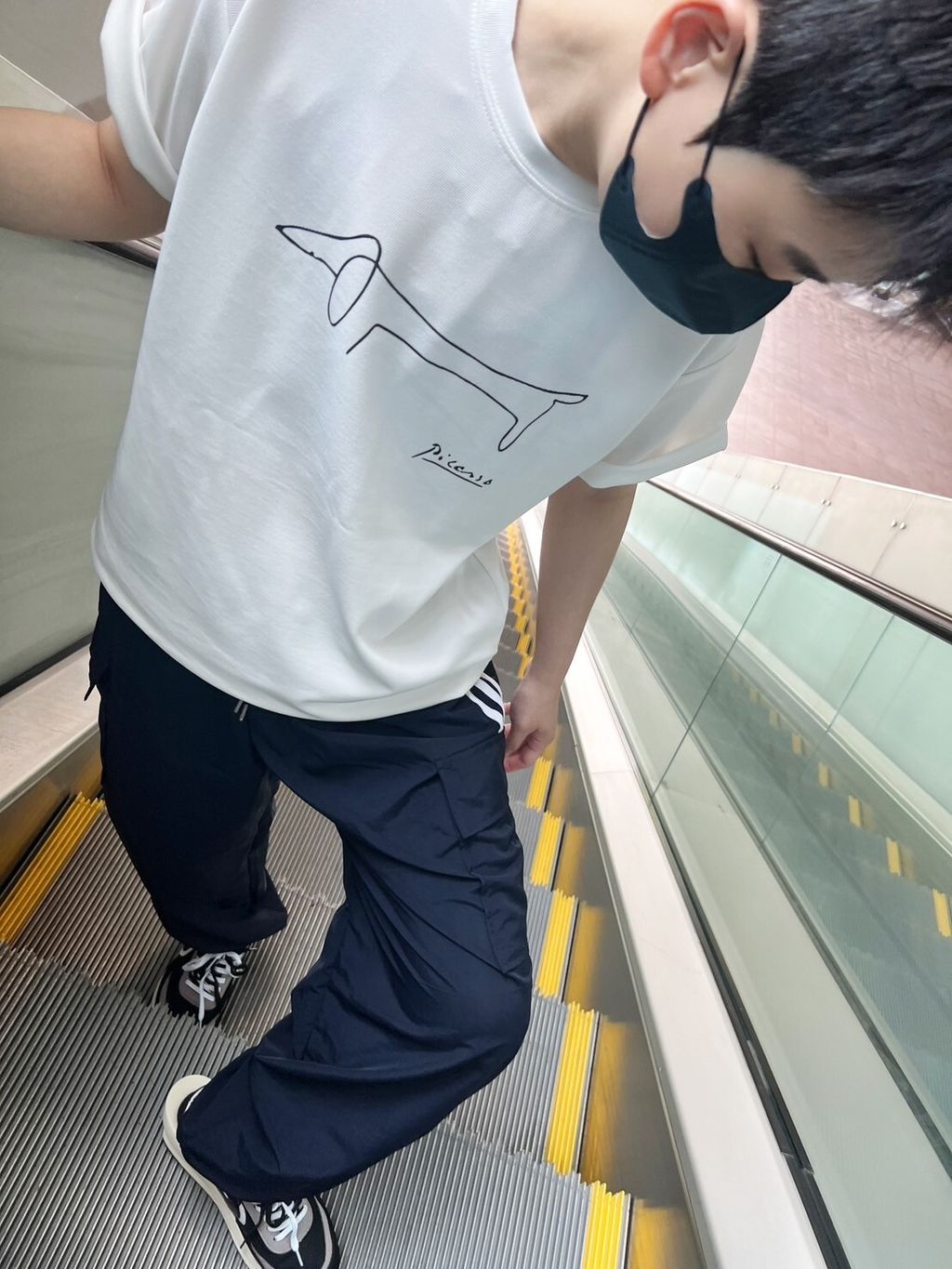 LINE_ALBUM_UM15 不變型拉不壞透氣舒適線條寵物狗短T -3色 $590_240724_8