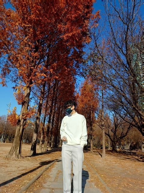 LINE_ALBUM_4DA15 半領親膚針織上衣-9色 $1350_241207_4