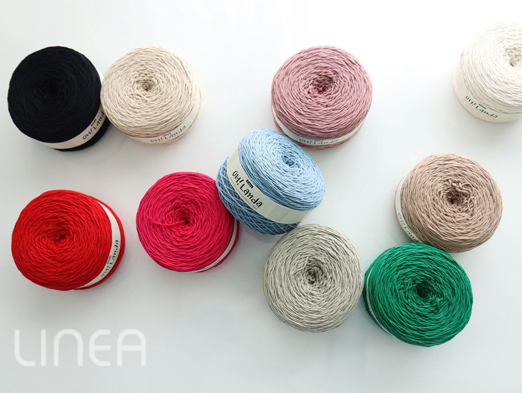 IMG_2141-1740653993546