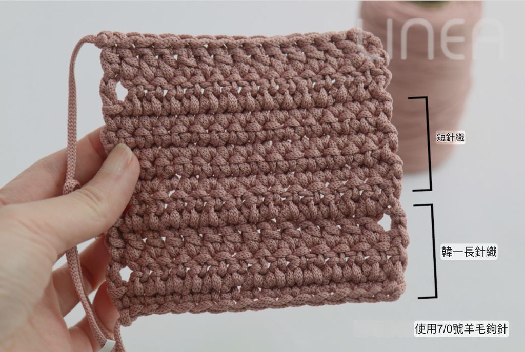 IMG_2181-1740655679584