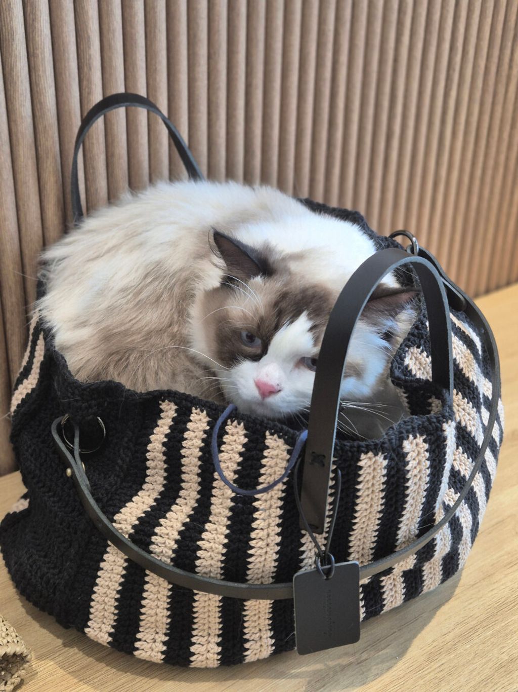 IMG_1541-1739978152875